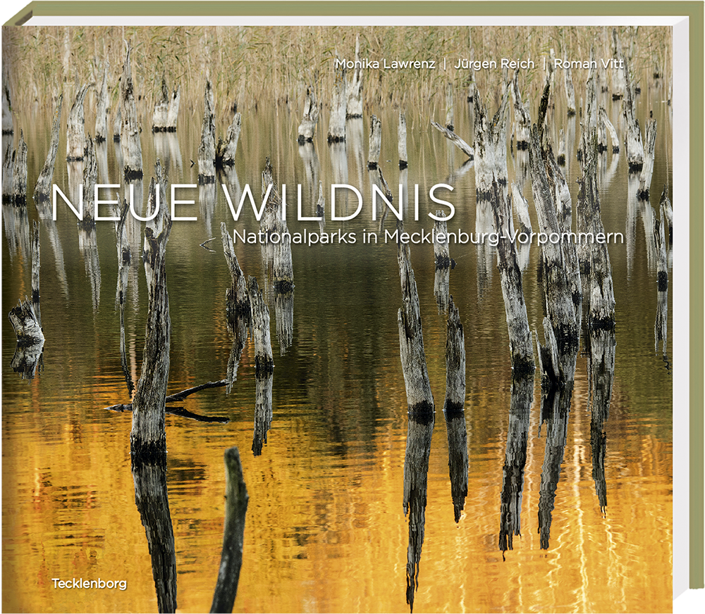 NEUE WILDNIS