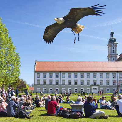 28. Fürstenfelder Naturfototage